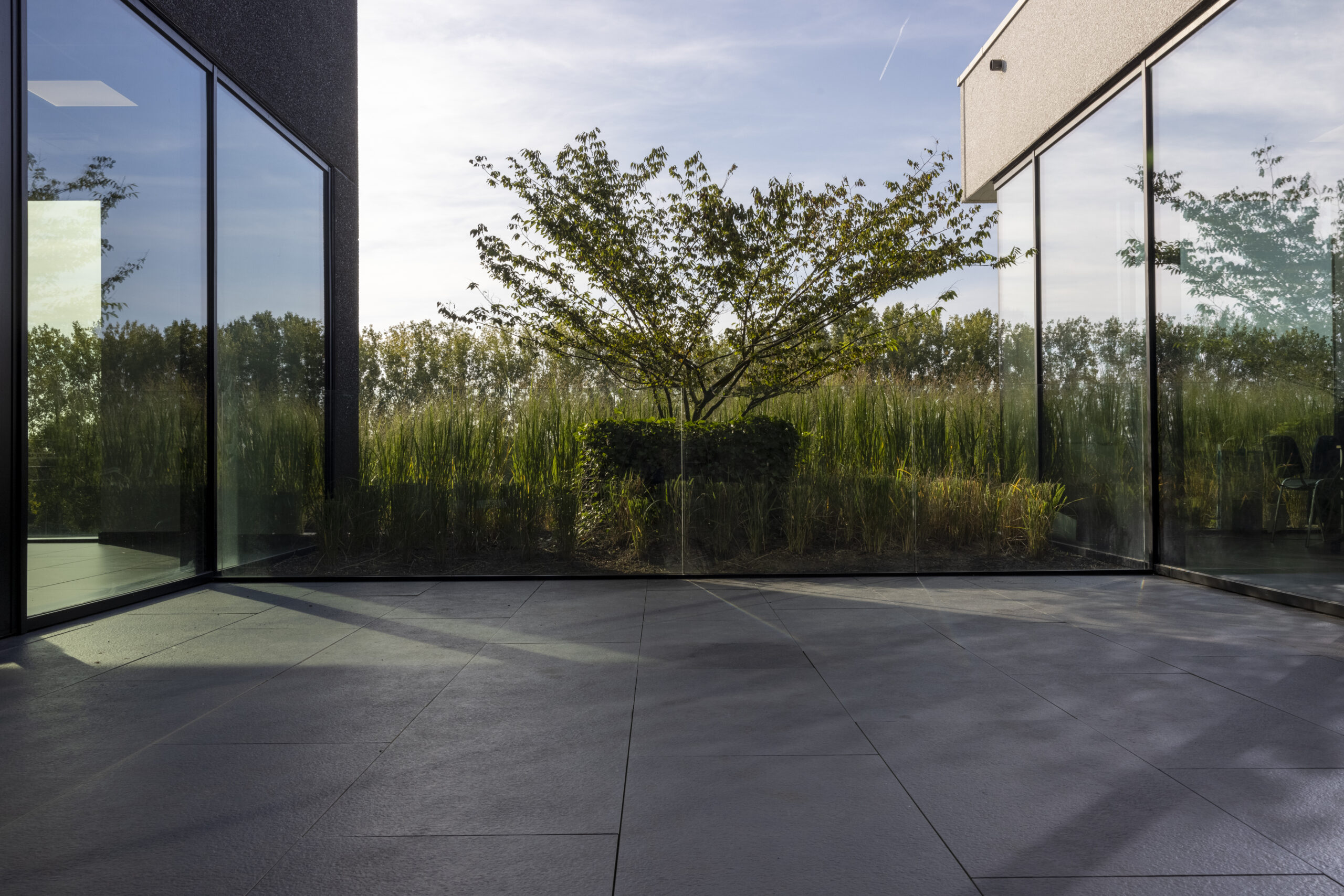 Willebroek office tree