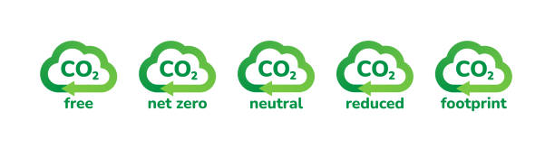 Insights into your emissions